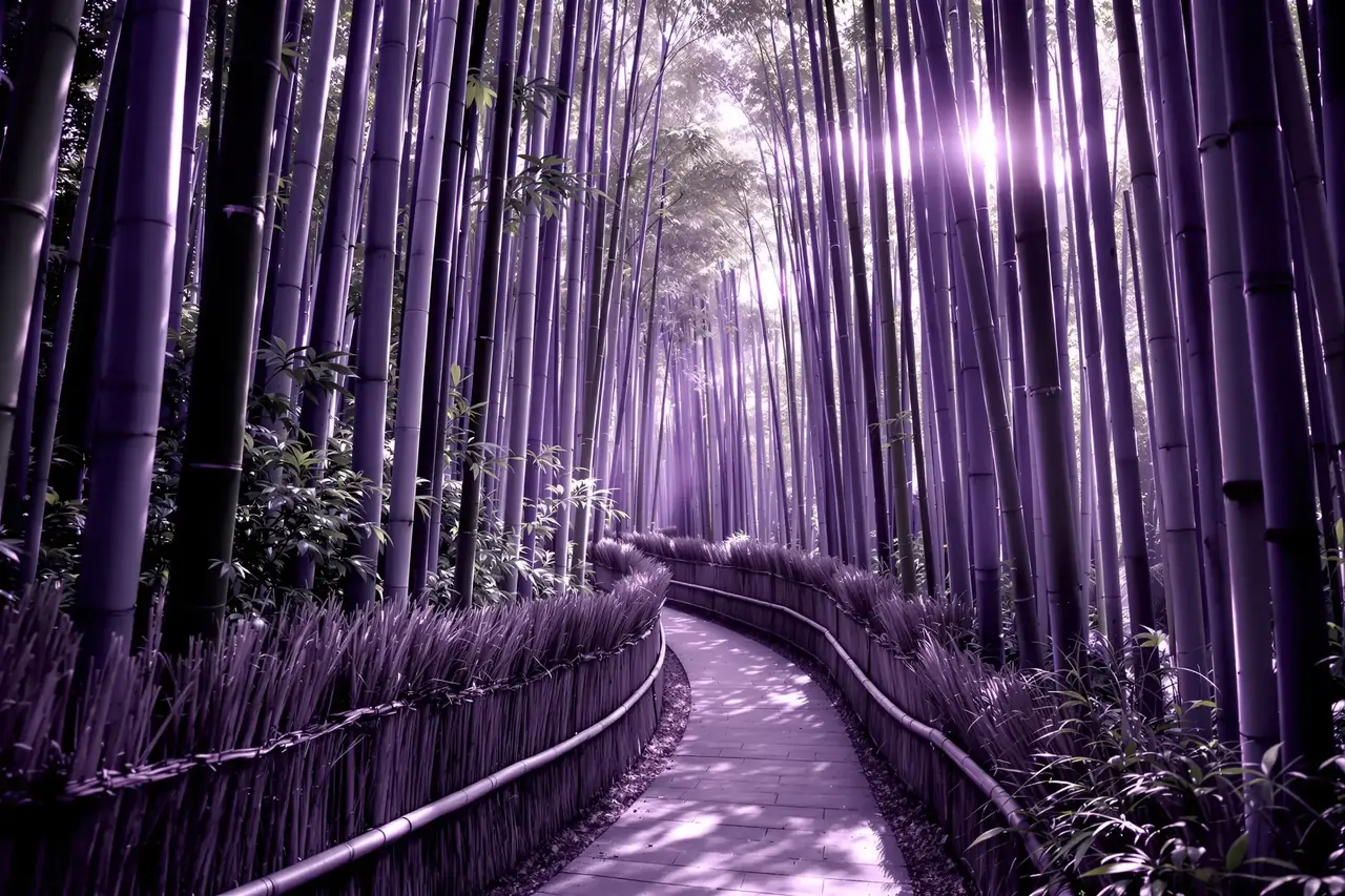 暮鼓晨钟 · 京都禅意录 - 图1